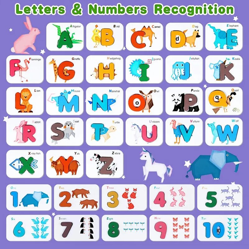 แฟลชการ์ดตัวอักษร Montessori ส - Kids Education Number บทวิจารณ์และราคา